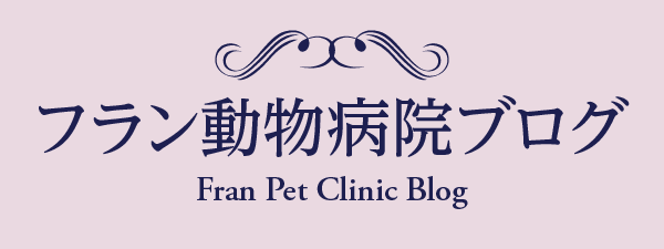 フラン動物病院ブログ
